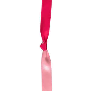 Two-Tone Taffeta Ribbon - Pink/Red