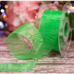 Meadow Green In 40mm Sheer By Berisfords Ribbons