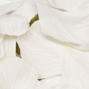 Box Of 164 White Fabric Rose Petals