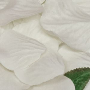 Box Of 164 Ivory Fabric Rose Petals